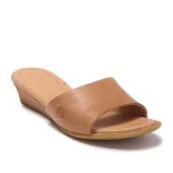 born shasta wedge